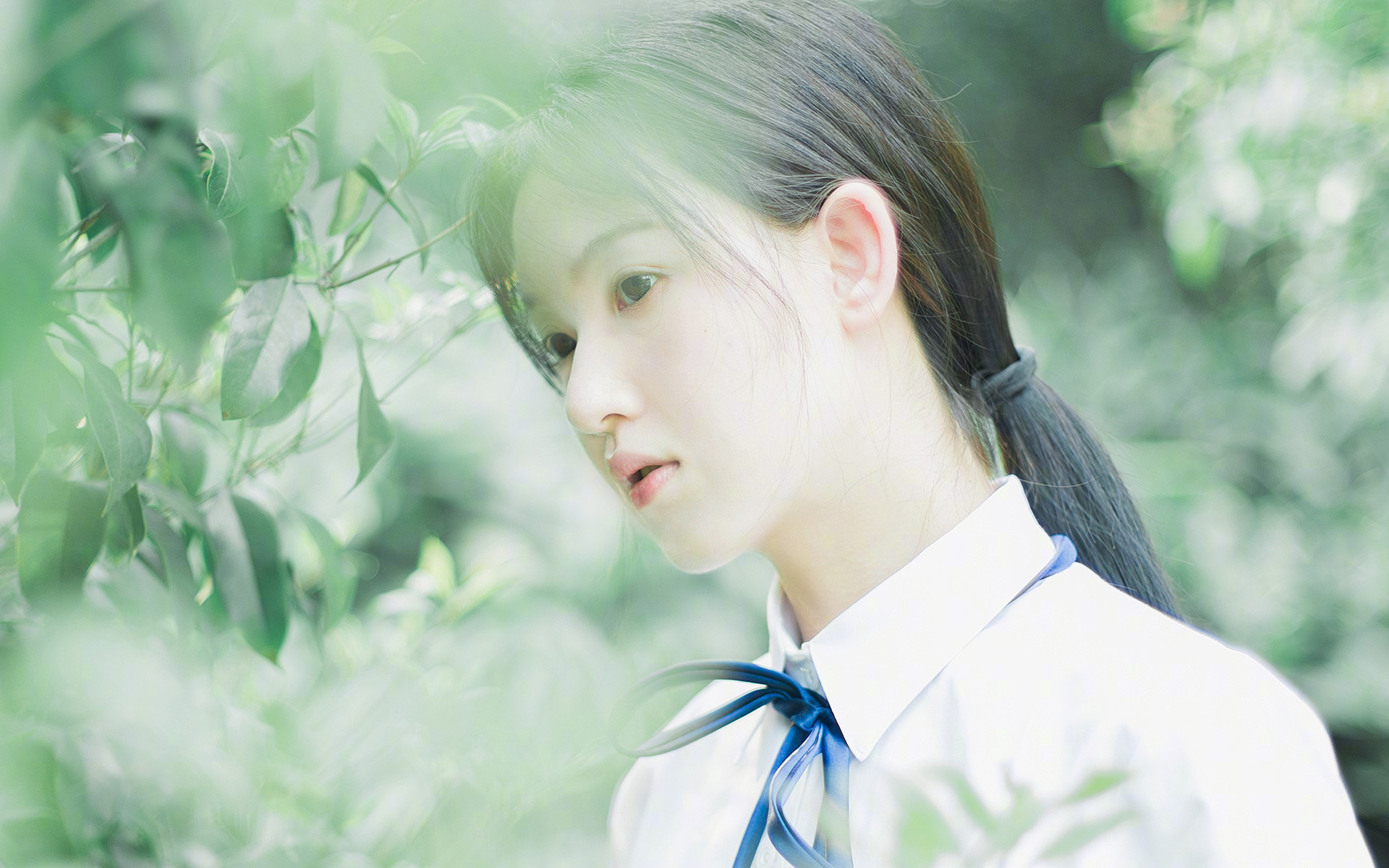 黄蜂老板乔丹正式出售股权，告别球队运营，黄蜂队乔丹股份