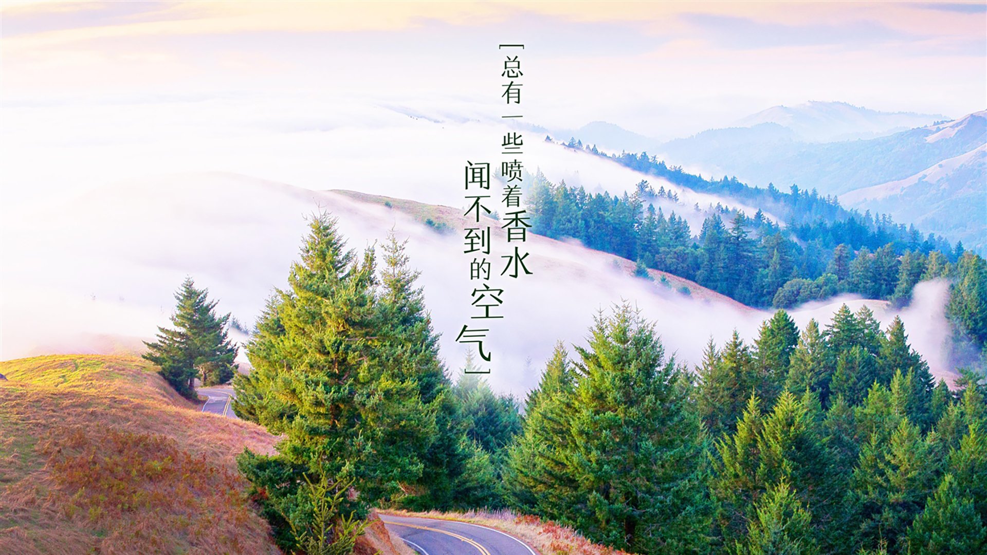 匈牙利意外战胜克罗地亚，欧洲杯夺冠望志在必得