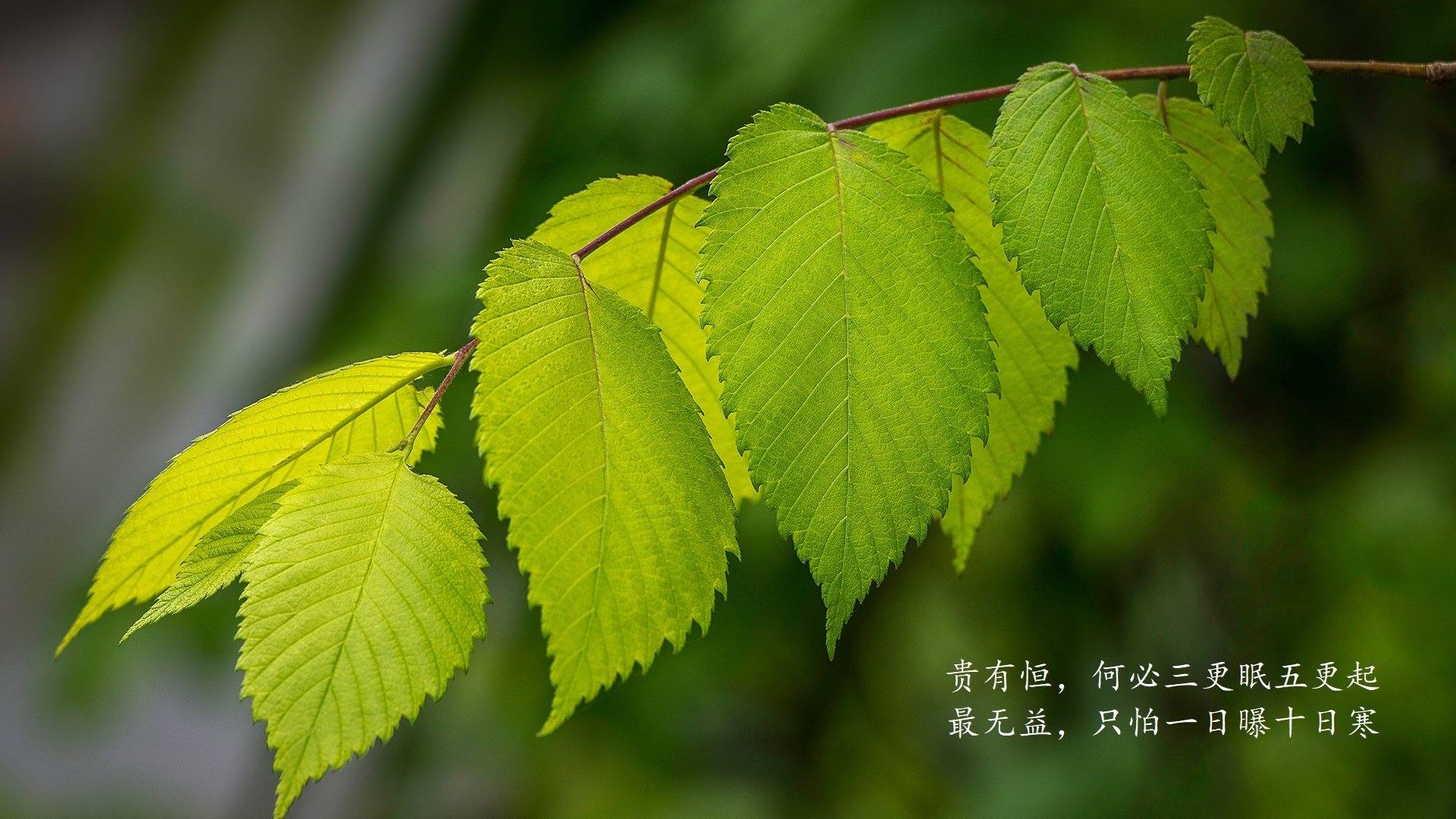 皇马抢夺客场胜利，晋级下一轮淘汰赛，皇马下赛季