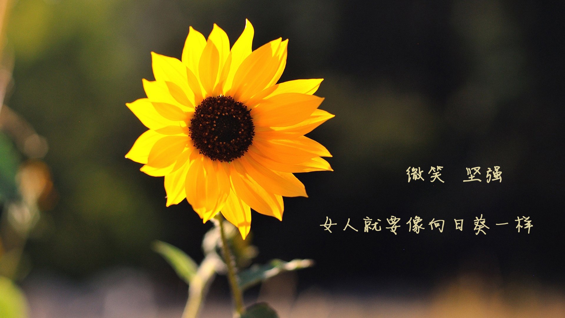 马竞中场突破射门，助球队赢得胜利，马竞中场都有谁