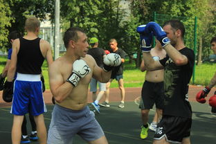 Jiu You-英超球队赛季中期体能负荷动态调整策略，英超球员身体素质