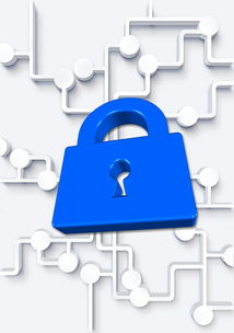 九游(jiuyou)官方网站-高校体育社团管理数字化平台构建方案，全国性体育社团