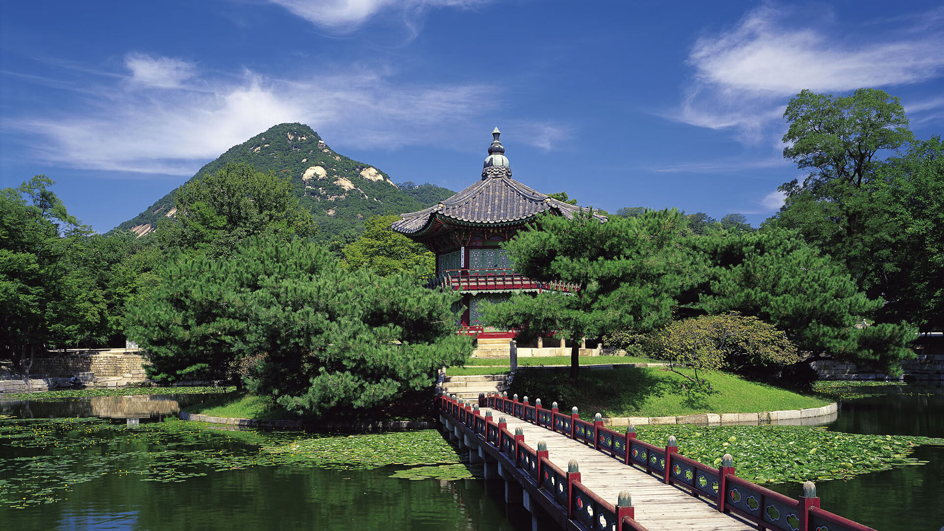 东京奥运回顾 中国代表团成绩创历史新高,东京奥运会中国代表团出场回放