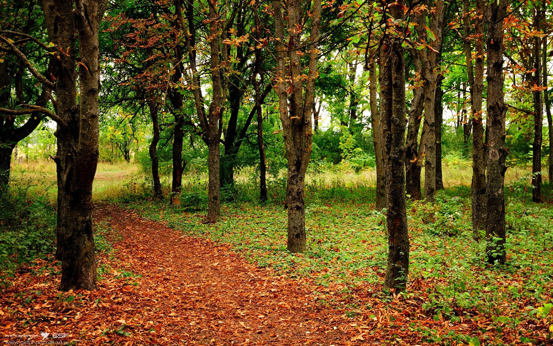 东亚杯U23国足惨败 球迷情绪波动较大,东亚杯国足3比0韩国