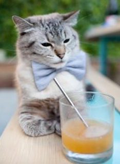 体育新闻中心协助开发智慧健身内容互动平台，体育新闻网址大全