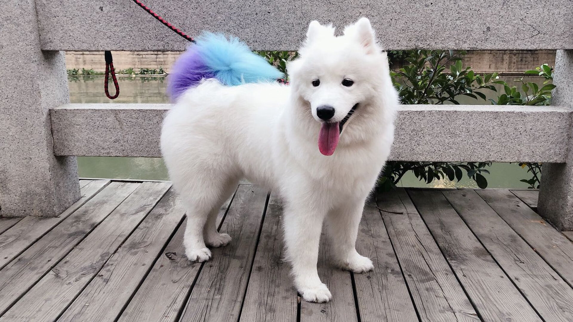 莱比锡RB击败门兴格拉德巴赫，实力得到认可，莱比锡3_2门兴