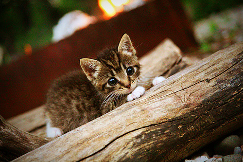 赫塔菲主打防反体系抢分成功,赫塔菲实力