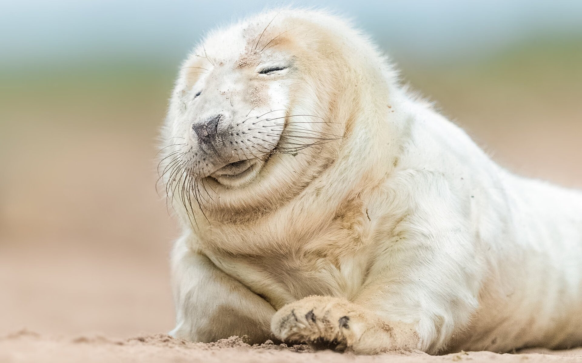 中国足球联赛赛事宣传活动形式多样，足球联赛宣传海报手绘图片