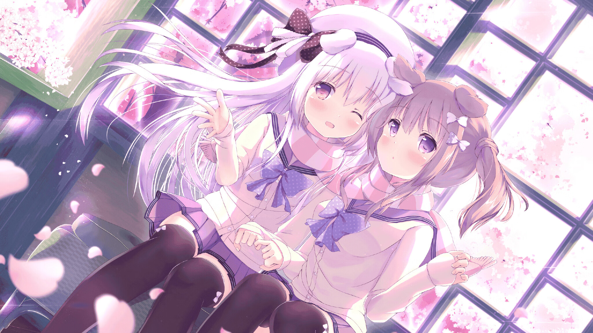 南非橄榄球的新战略布局，未来可期，南非橄榄球决赛飞机飞过