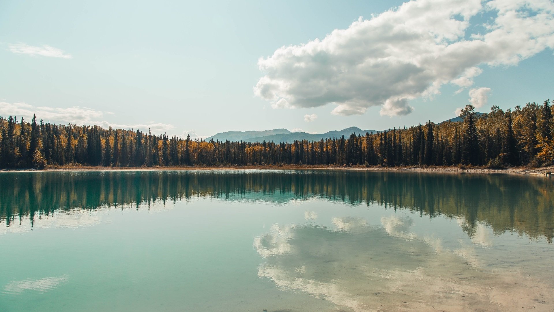 普劳德赛后：这一跳我很满意，普劳斯集锦