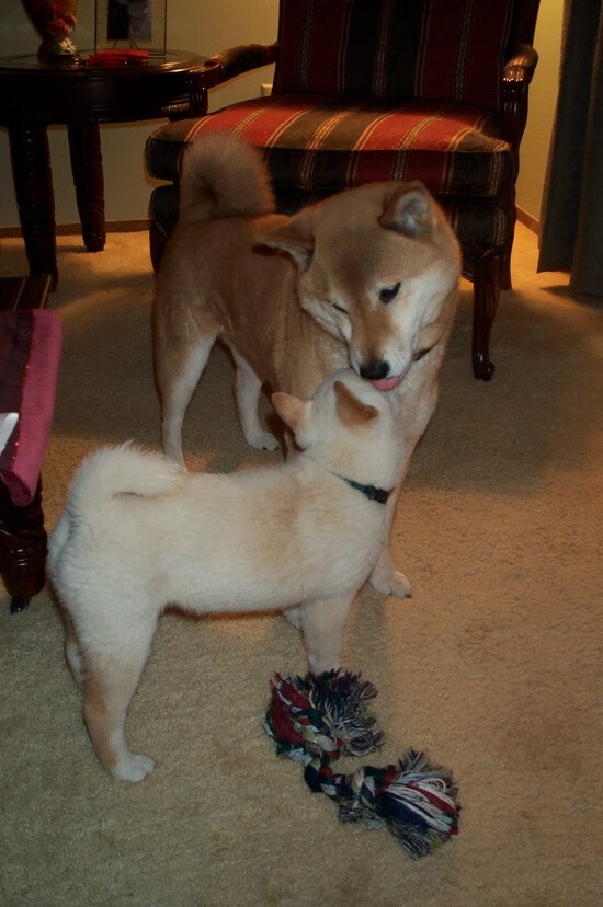 科特迪瓦男篮在非洲锦标赛中创造佳绩，体育强国再上新台阶，非洲科特迪瓦现在是什么时间