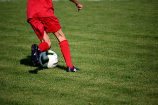 九游体育官网入口-中国篮球俱乐部青训体系绩效评估方法，篮球俱乐部青训营