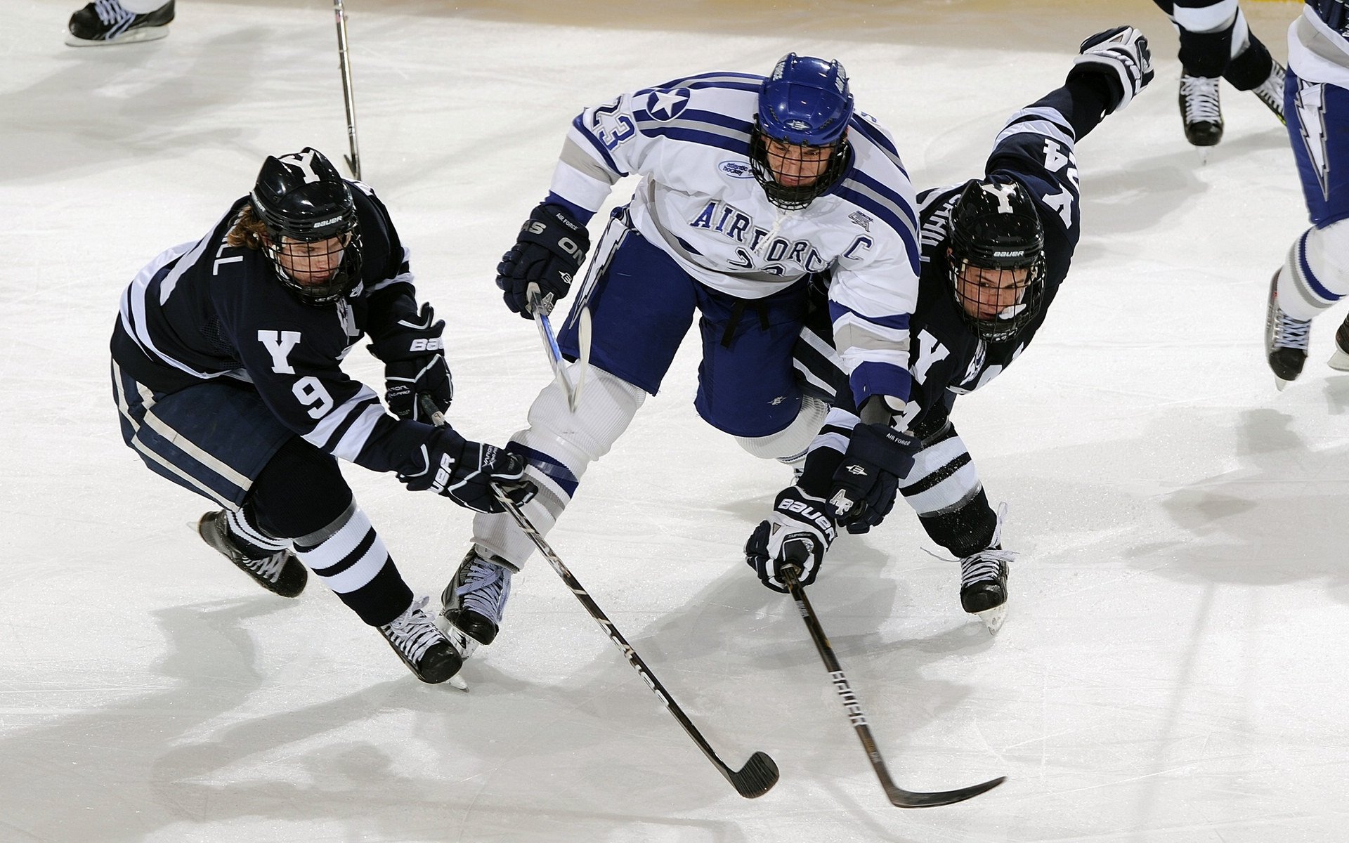 澳女队新星崛起势头猛，澳女篮联赛直播